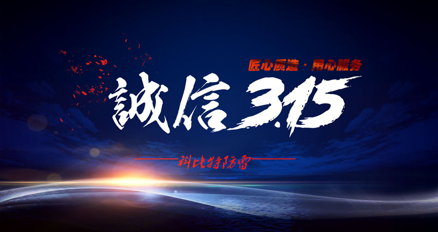 匠心质造、用心服务，大发官方在线入口防雷天天315