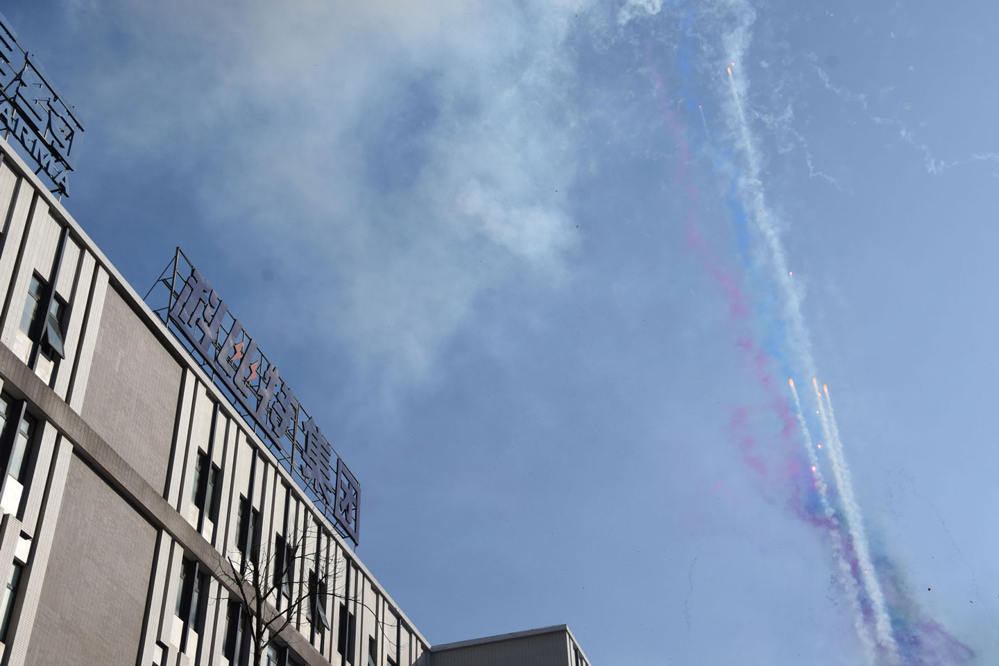 大发官方在线入口防雷 | 新春开工大吉！